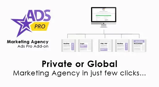 Ads Pro Add-on – WordPress Marketing Agency by scripteo