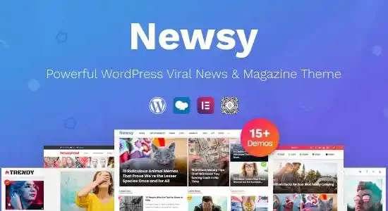 newsy-preview