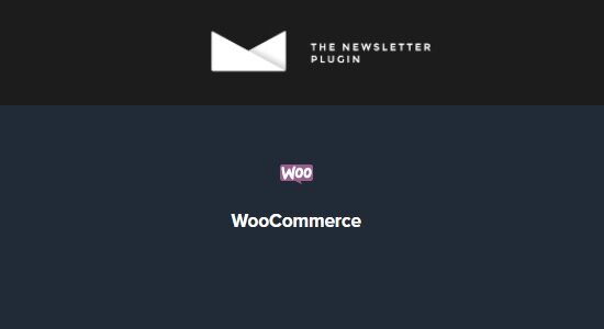 the-newsleter-woocommerce